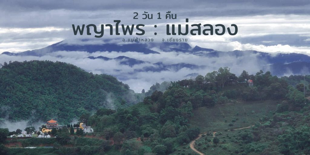 ทริปท่องเที่ยว 2 วัน 1 คืน บ้านพญาไพร – ดอยแม่สลอง – เชียงรายโฟกัสดอทคอม  สังคมออนไลน์ของคนเชียงราย